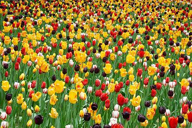 《流放之路2》明天提供独立客户端下载 后天开启抢先体验